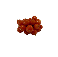 Ring Woman in Yellow Gold Corallo AN.OG.CO.9